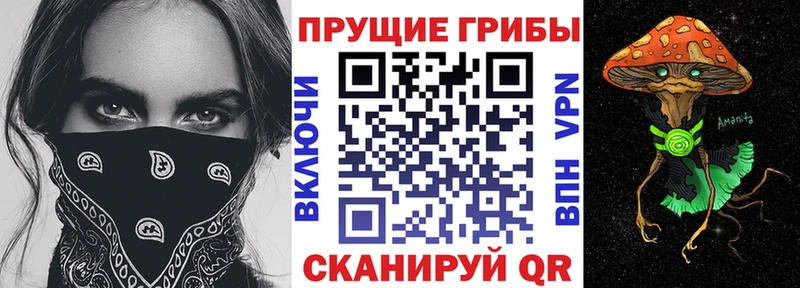 Купить где  Ленинградская  Псилоцибиновые грибы ЛСД 
