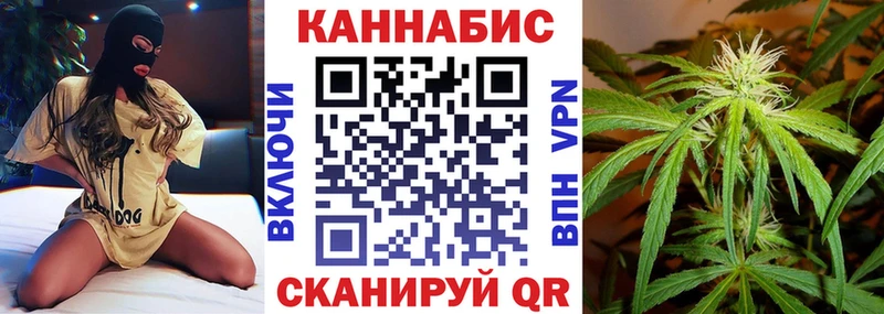 Купить где  Ленинградская  Каннабис сатива 